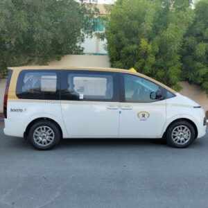 BraunAbility E-1500 Wheelchair Lift